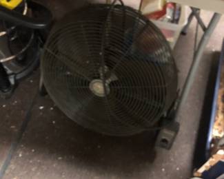 fan