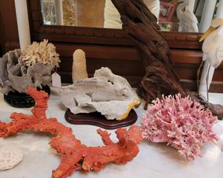 Vibrant naturally colored coral