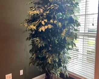Faux Ficus Tree