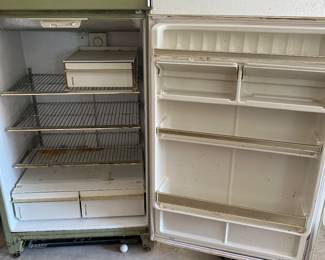Inside of the “garage” refrigerator