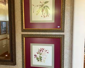 Pair of botanical prints