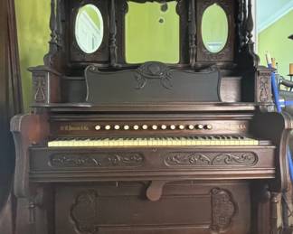organ