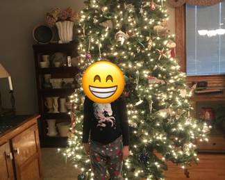High end Christmas Tree! Comes with custom storage box on castors. Selling to move. 
