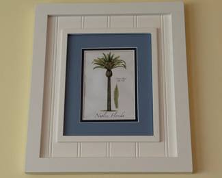 framed botanical print featuring Canary Island Date Palm, Naples Florida
