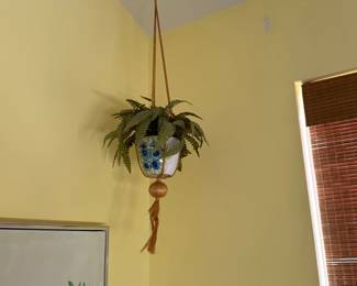 hanging fern