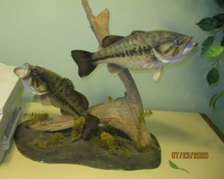 MOUNTED FISH