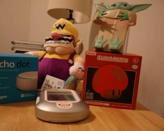 Fandom items, games, all kinds of electronics, new (unopened) Echo Dot
