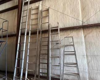 Diverse Ladder Lot