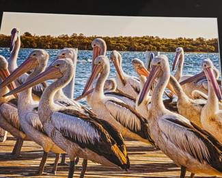 Photography "The girls" $60