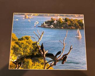 Original photography from Australia, California..... $60