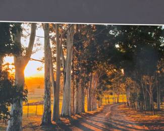 Original photography 