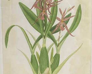 John Furches Floral Etchings Signed