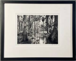 Clyde Butcher Photograph Signed & Numbered