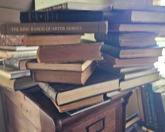 lots of books on Texas, from Rangers to Kings Ranch