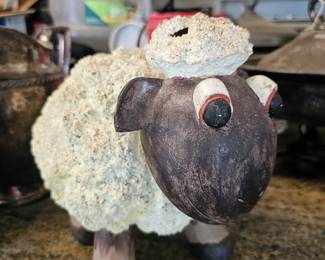 cutest sheep