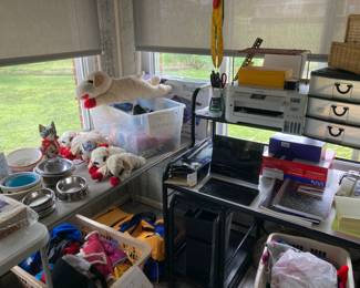 Lots of dog and cat care items and accessories in this sale