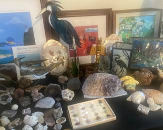 Rocks And Minerals Collection