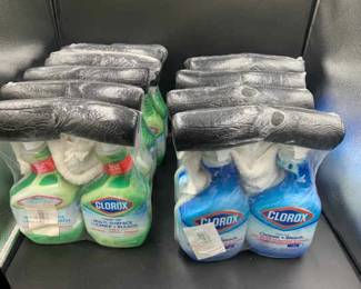18 Bottles Of Clorox 9 Rags