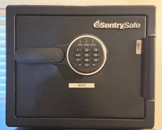 SENTRYSAFE Digital Water And Fireproof Safe