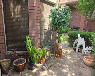Plants Planters