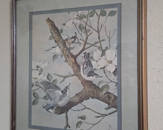 White Breasted Nut hatches by renowned artist Basil Ede