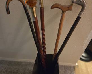 Walking sticks and Canes