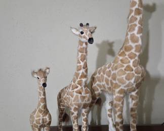 Family of furry giraffes