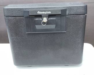 Sentry Safe