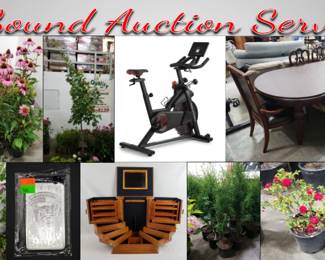 SAS Nursery Plants, Gold Silver, Furniture Online Auction