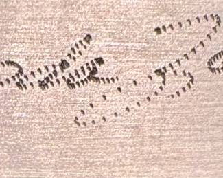 artist signature