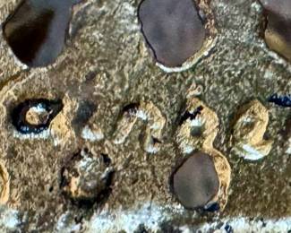 detail