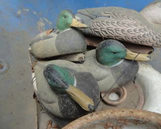Lots of assorted Duck Decoys