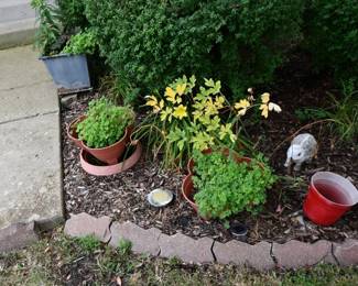 883Front Yard