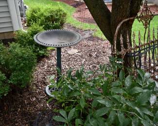 881Front Yard