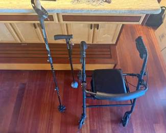 AAE032 Mobility Walker, Cane, and Hiking Stick