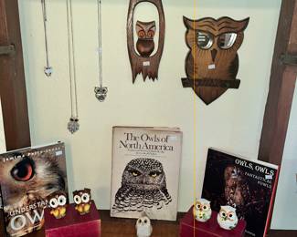OWL NECKLACES, BOOKS & WALL ART