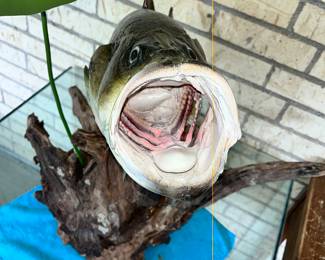 WHAT A MOUTH!