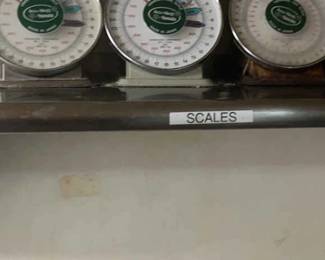 CCS037 Stainless Steel Shelf
