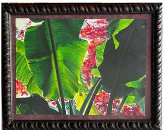 Banana Leaves and Bougainville