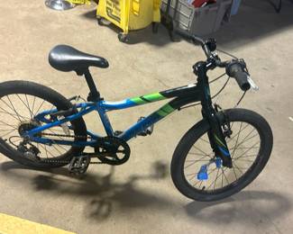 Raleigh kids bike