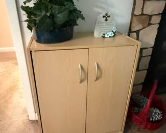 #11 Cabinet 24x12x31 $20.00