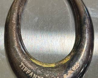 Tiffany & Co. Sterling Silver earing