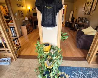 Lots of beautiful healthy plants!