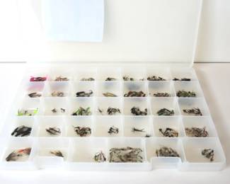 Nymphys, Cranefly, and Other Fly Fishing Flies - New!