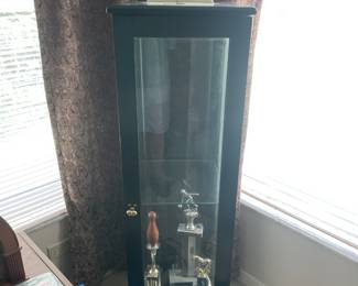 Case with shelves