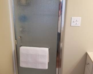 Glass shower door