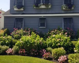 Window boxes