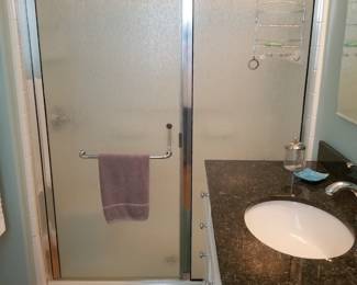 Glass shower door & fixed panel