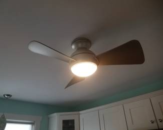 MinkaAire illuminated fan - multiple units available