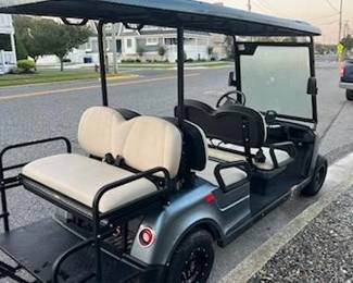 2021 Star Capella golf cart seats 6